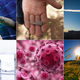 Illustration for article titled The Biggest Science Stories of 2013